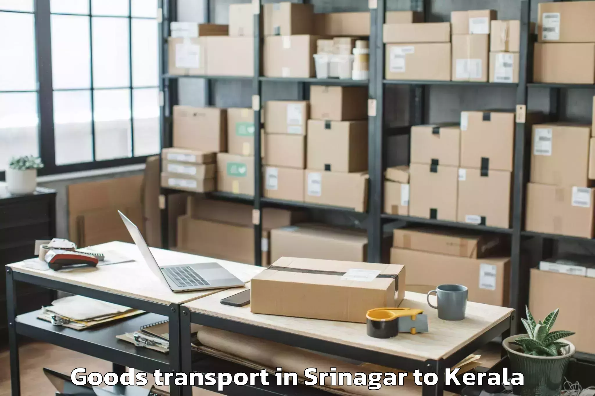 Hassle-Free Srinagar to Ambalappuzha Goods Transport